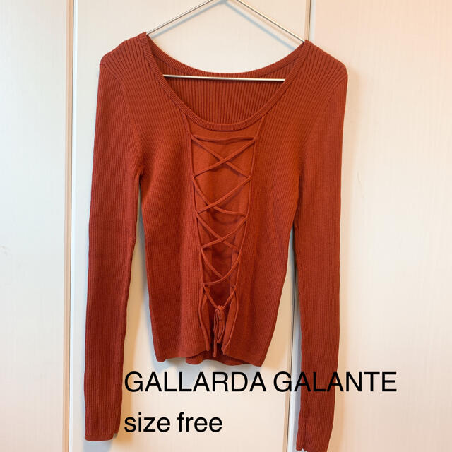 GALLARDA GALANTE(ガリャルダガランテ)のGALLARDA GALANTE ニット sizeFree レディースのトップス(ニット/セーター)の商品写真