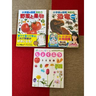 ショウガクカン(小学館)の図鑑　３点セット(絵本/児童書)