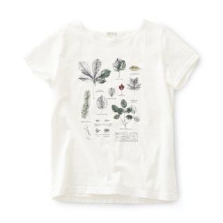 フェリシモ(FELISSIMO)のサニークラウズ 植物図鑑Tシャツ(Tシャツ(半袖/袖なし))