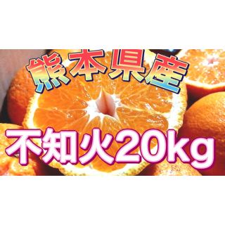 熊本県産不知火20kg(フルーツ)