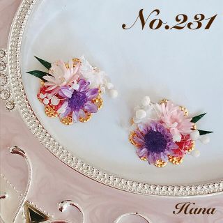 No.231 グリーンの葉っぱとお花　本物のお花のブーケピアス　イヤリング　紫(ピアス)