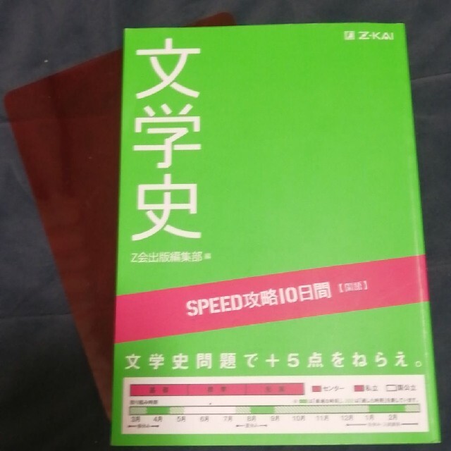 ＳＰＥＥＤ攻略１０日間国語文学史 エンタメ/ホビーの本(語学/参考書)の商品写真