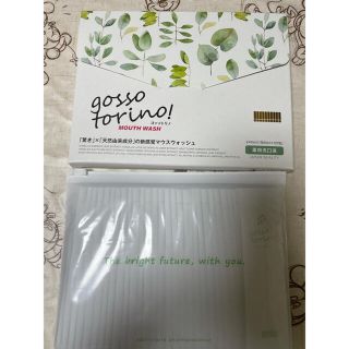 ☆パクパク様専用☆ ゴッソトリノ（２箱）(口臭防止/エチケット用品)