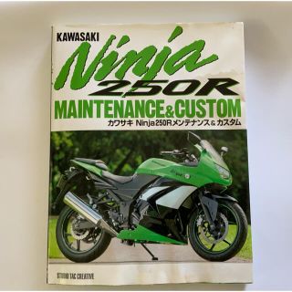 カワサキ(カワサキ)のカワサキＮｉｎｊａ　２５０Ｒメンテナンス＆カスタム(趣味/スポーツ/実用)