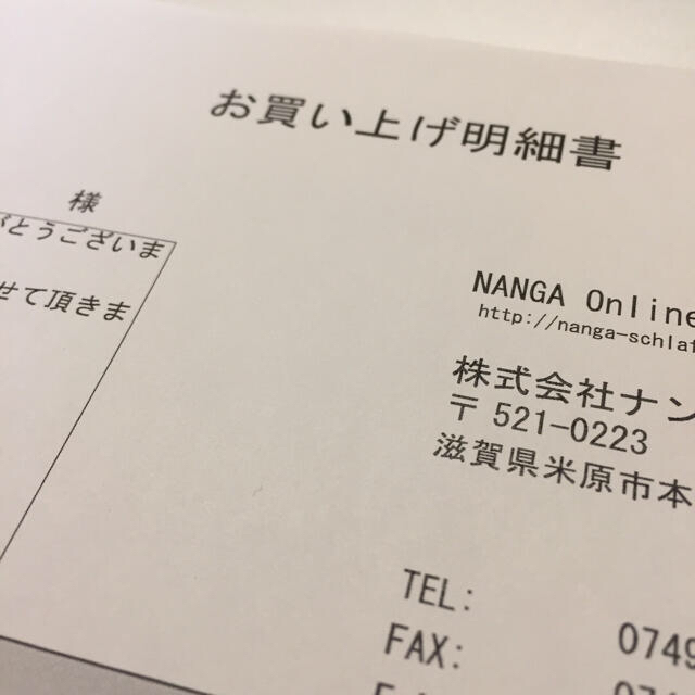 NANGA(ナンガ)のGAAACY キーホルダー 新色 クリアグリーン NANGA スポーツ/アウトドアのアウトドア(その他)の商品写真