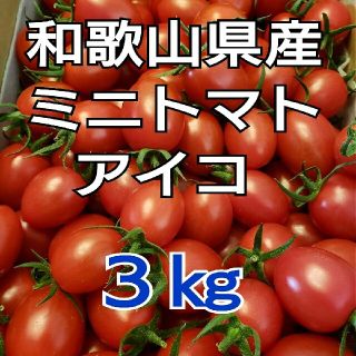 ３㎏ 和歌山県産 ミニトマト アイコ(野菜)