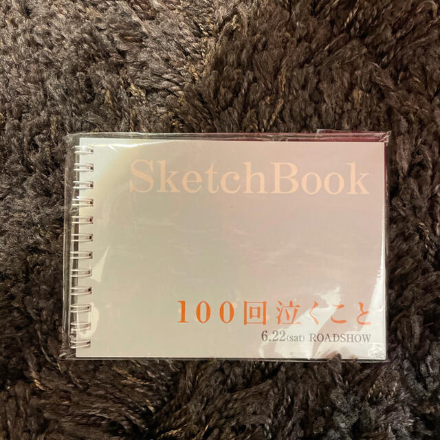 関ジャニ∞(カンジャニエイト)の100回泣くこと　スケッチブック インテリア/住まい/日用品の文房具(ノート/メモ帳/ふせん)の商品写真