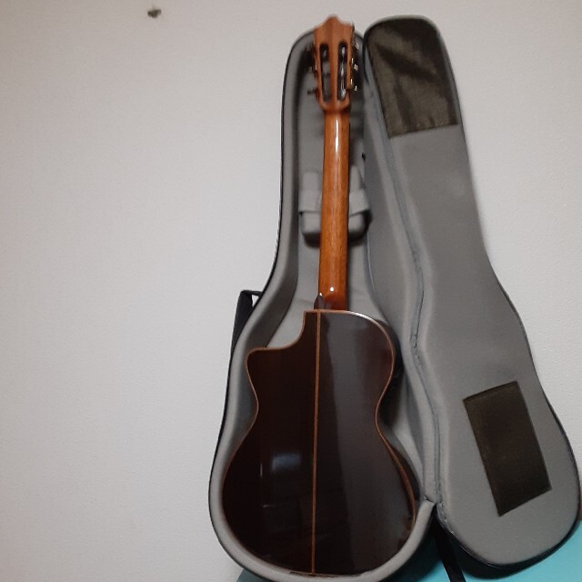 エレガットギター　Martinez　背負えるケース付 楽器のギター(クラシックギター)の商品写真