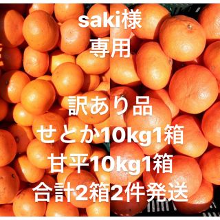 saki様　専用　訳あり品　愛媛県　甘平　10kg 訳ありせとか10kg(フルーツ)