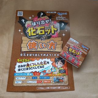 ほり出せ！化石ット　チャレンジ三年生付録(知育玩具)