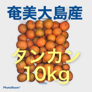 奄美大島産　タンカン(10kg)(フルーツ)