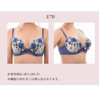 Wacoal - 最終のお値下げ F70 タグありブラジャー パルファージュの ...