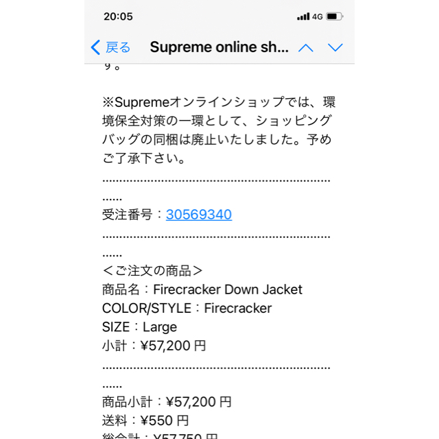 Supreme(シュプリーム)のFirecracker Down Jacket L 新品未使用 メンズのジャケット/アウター(ダウンジャケット)の商品写真