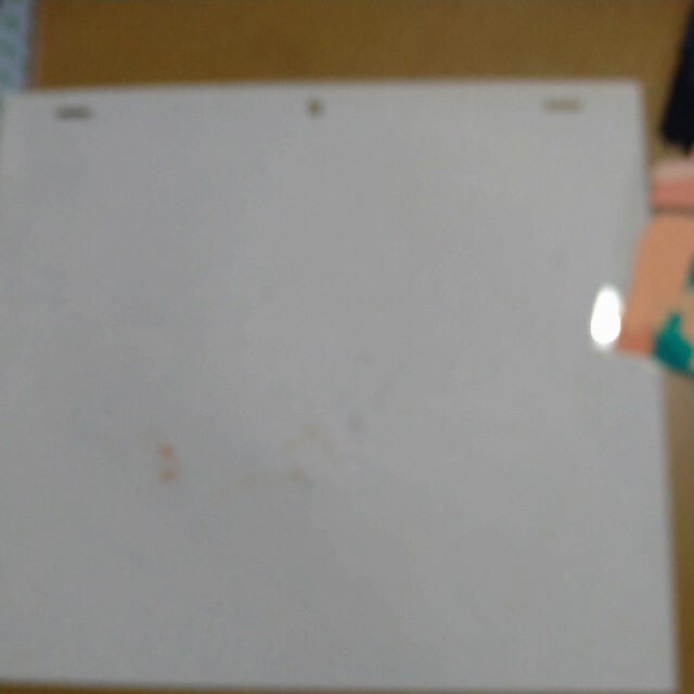 (非売品)らんま1/2セル画 あかねとらんま 4