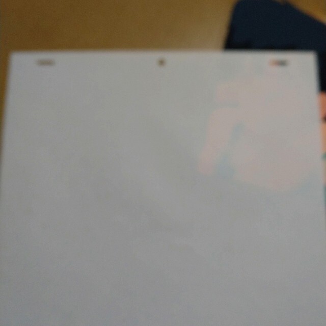 (非売品)らんま1/2セル画 あかねとらんま 5