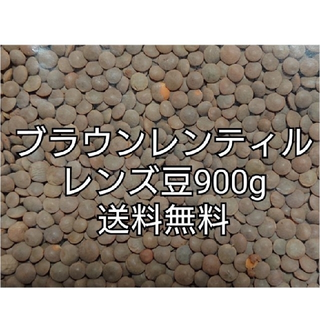 レンズ豆900g/Brown Lentil 乾燥豆 食品/飲料/酒の食品(米/穀物)の商品写真