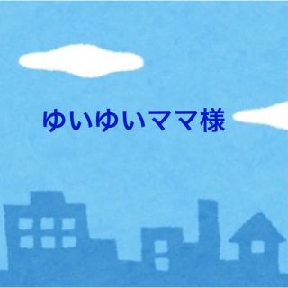 大臣風立体インナーマスク 子供用 ❇︎ラメシリーズ❇︎ 恐竜3枚セットM(外出用品)