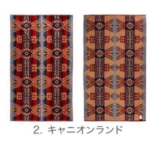 PENDLETON(ペンドルトン)のペンドルトン タオルブランケット キャニオンランド インテリア/住まい/日用品の日用品/生活雑貨/旅行(タオル/バス用品)の商品写真