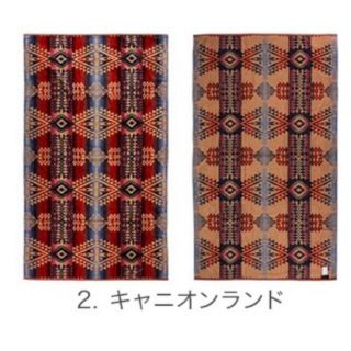 ペンドルトン(PENDLETON)のペンドルトン タオルブランケット キャニオンランド(タオル/バス用品)