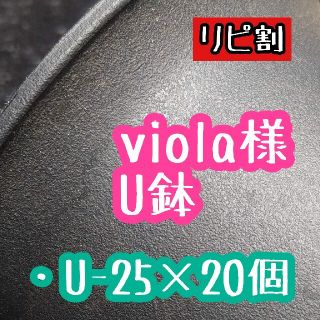 viola様 U鉢(その他)