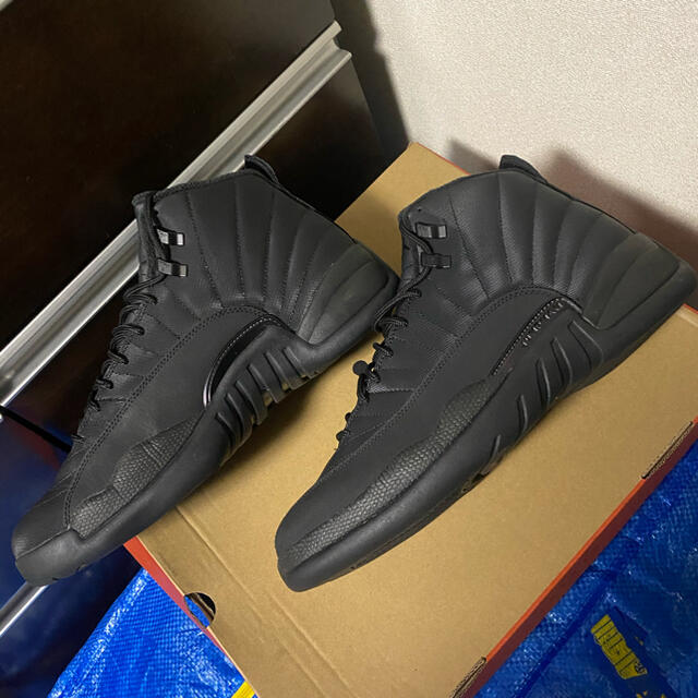 wntr jordan 12