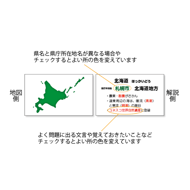 中学受験対策「暗記カード　都道府県　50枚セット」要点をまとめました エンタメ/ホビーの本(語学/参考書)の商品写真