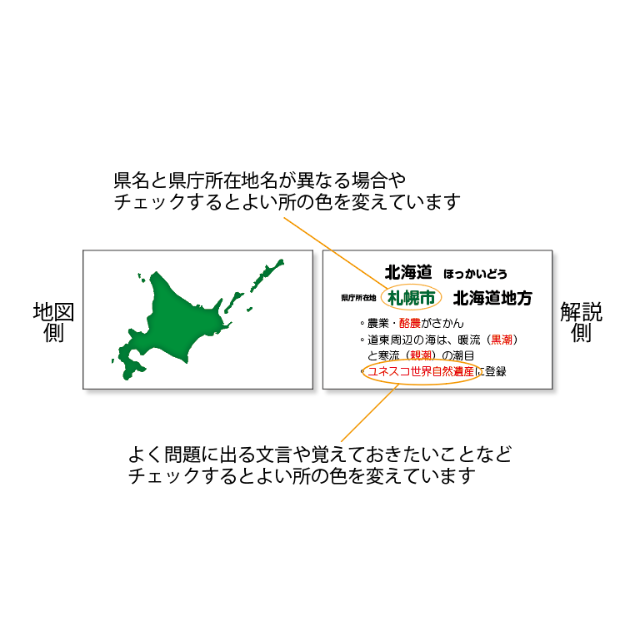 暗記カード 都道府県 50枚セット 見易く要点をまとめましたの通販 By フラミンゴ S Shop ラクマ 暗記カード 都道府県 50枚セット 見易く要点をまとめましたの通販 By フラミンゴ S Shop ラクマ
