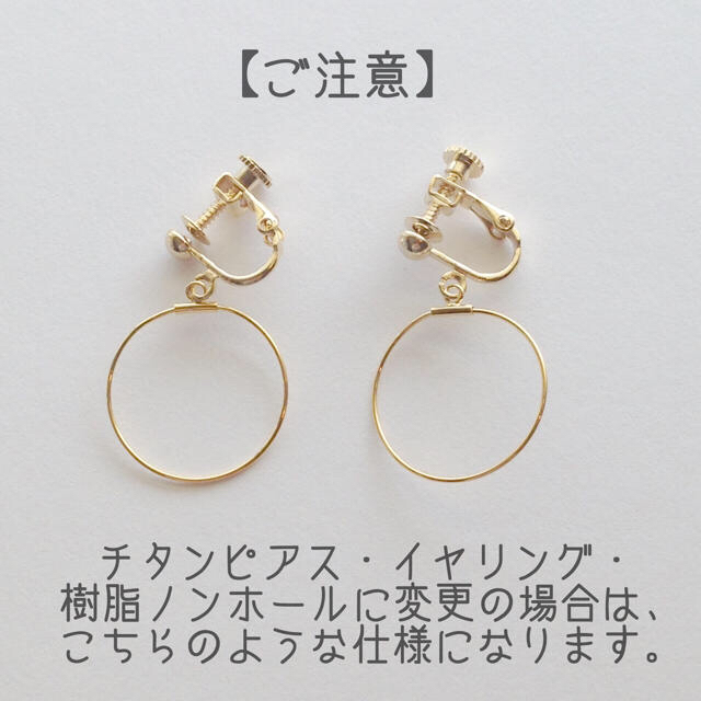 ▷リーフ×実のなる ピアス/イヤリング◁ ハンドメイドのアクセサリー(ピアス)の商品写真