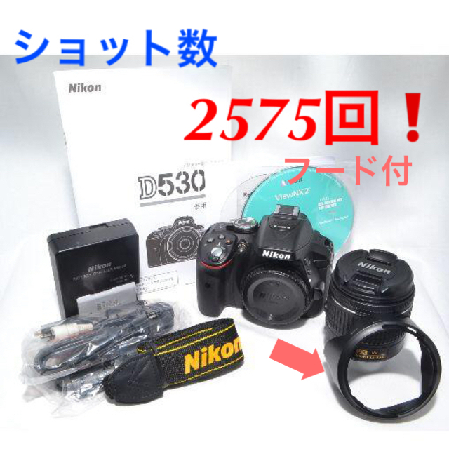 NIKON D5300 AF-Pレンズキット ニコン