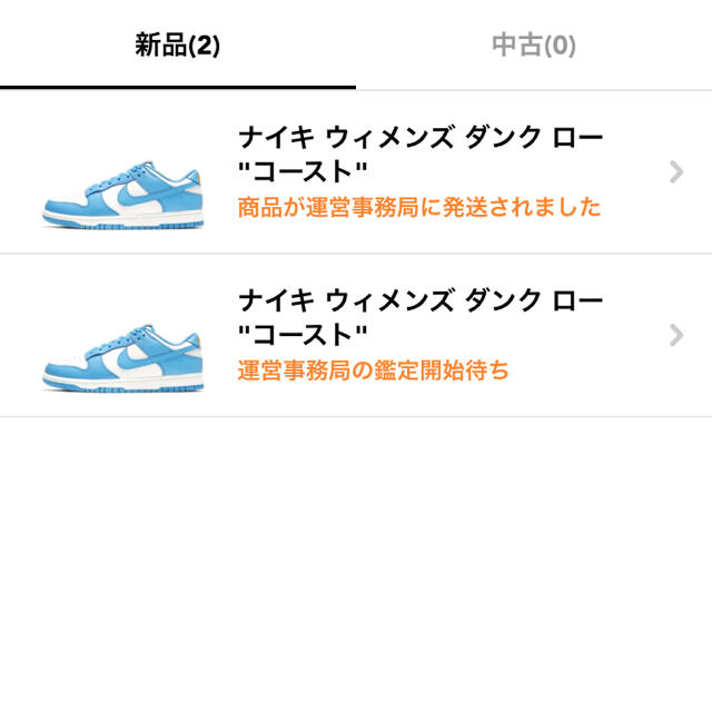 NIKE DUNK LOW COAST ナイキ　ダンク