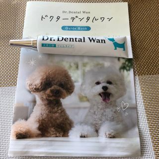 ドクターデンタルワン　犬用口腔ジェル30g(ペットフード)