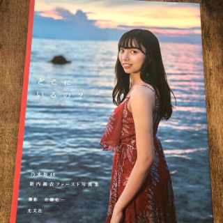 ノギザカフォーティーシックス(乃木坂46)の新内眞衣 1st写真集 「どこにいるの？」(アート/エンタメ)