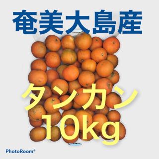 奄美大島産　タンカン(約10Kg))(フルーツ)