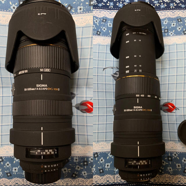 w⭐1月獲得新登場⭐️ SIGMA APO 50-500mm F4-6.3 EX DG HSM ニコン用