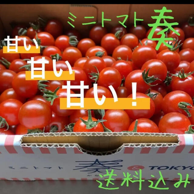 長崎県産「フルーツトマト」糖度８〜9.9度。２箱セット