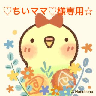 ♡ちいママ♡様専用ページ☆(ファッション雑貨)