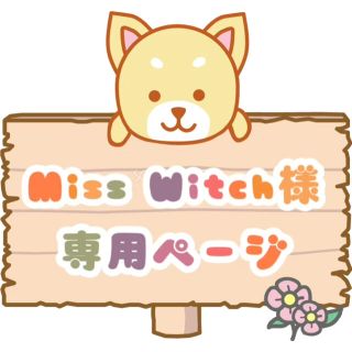 セブンティーン(SEVENTEEN)のMiss Witch様 専用ページ(アイドルグッズ)