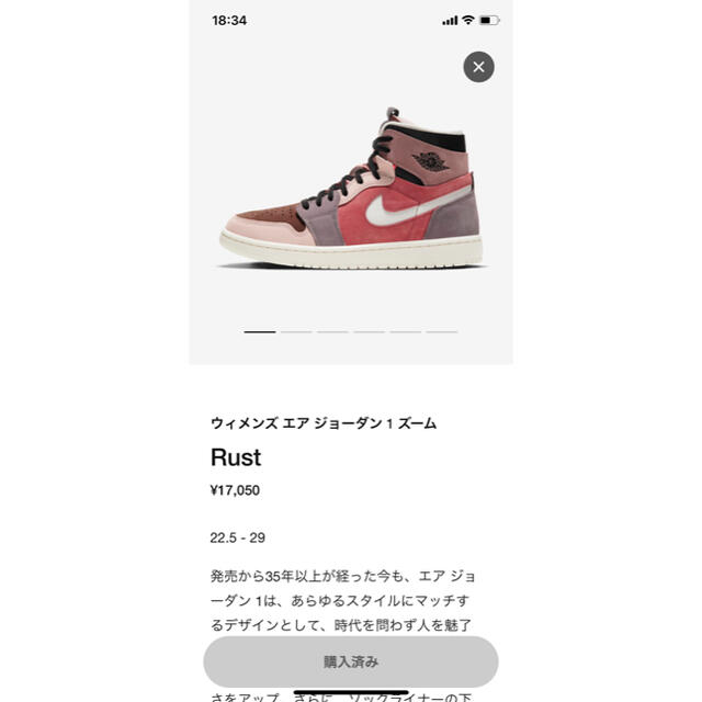 NIKE(ナイキ)のNIKE WMNS AIR JORDAN 1 ZOOM "RUST" メンズの靴/シューズ(スニーカー)の商品写真