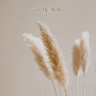 sato様　専用🕊   (ワンピース)