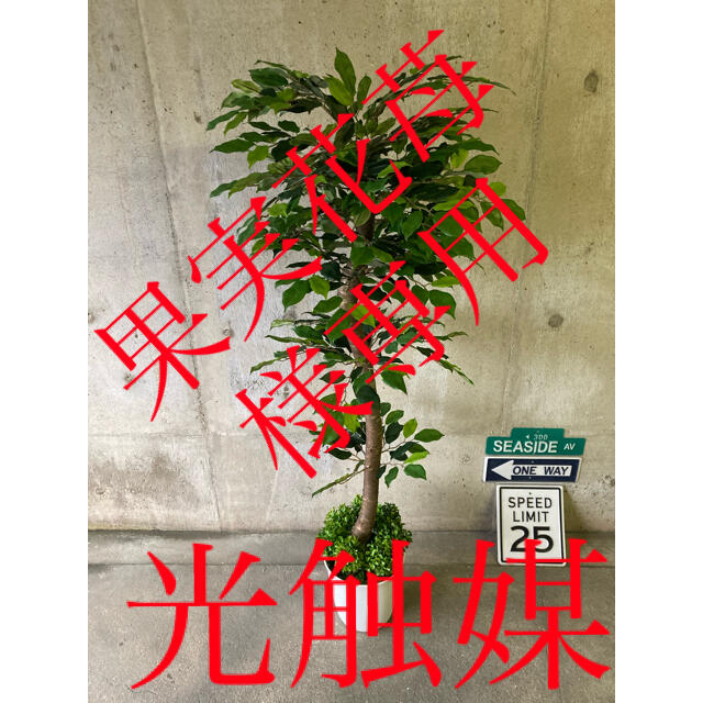 光触媒 人工観葉植物 ウォールグリーン 造花 インテリア ベンジャミン