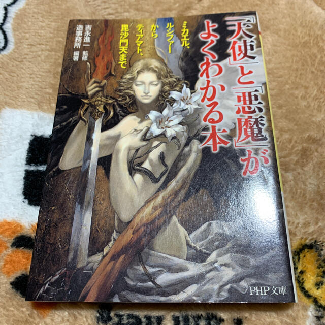 天使 と 悪魔 がよくわかる本 ミカエル ルシファ からティアマト 毘沙門天まの通販 By Nt S Shop ラクマ 天使 と 悪魔 がよくわかる本 ミカエル ルシファ からティアマト 毘沙門天まの通販 By Nt S Shop ラクマ