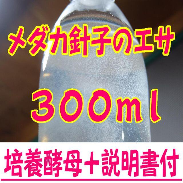 ３００ｍｌ メダカの針子のエサ ゾウリムシ種水の通販 By Mura999 S Shop ラクマ