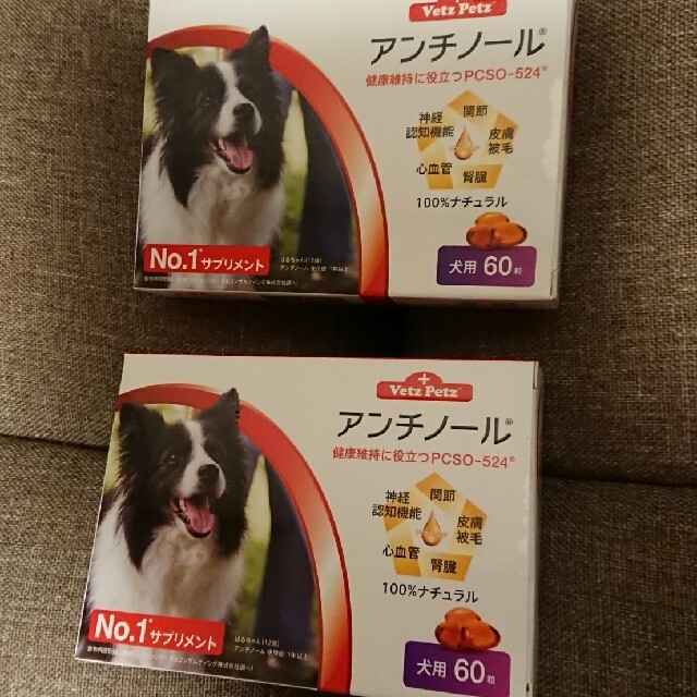 犬用アンチノール 60粒 2箱