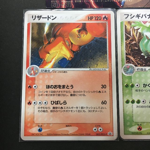 ポケモン - ポケモンカード PCG カメックス リザードン ポケモン - ポケモンカード PCG カメックス リザードン