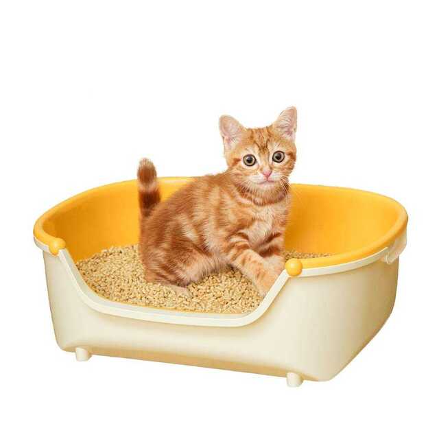 花王 猫用トイレ本体  子ねこ用セット オレンジ 子ねこ用 その他のペット用品(猫)の商品写真