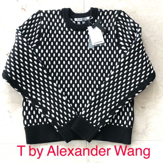 Alexander Wang(アレキサンダーワン)の値下　新品　T by Alexander Wang アレキサンダーワン　ニット　 レディースのトップス(ニット/セーター)の商品写真