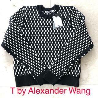 アレキサンダーワン(Alexander Wang)の値下　新品　T by Alexander Wang アレキサンダーワン　ニット　(ニット/セーター)