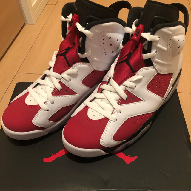 Air Jordan 6 Carmine 28.5cm靴/シューズ