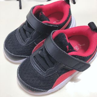 プーマ(PUMA)のプーマ🧸スニーカー🧸13cm(スニーカー)