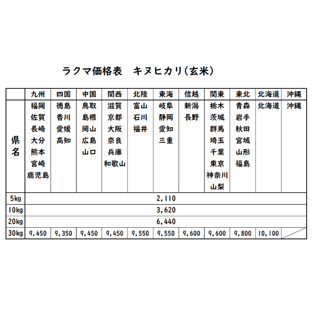 お米 令和２年 愛媛県産キヌヒカリ 玄米 20㎏ - 米/穀物
